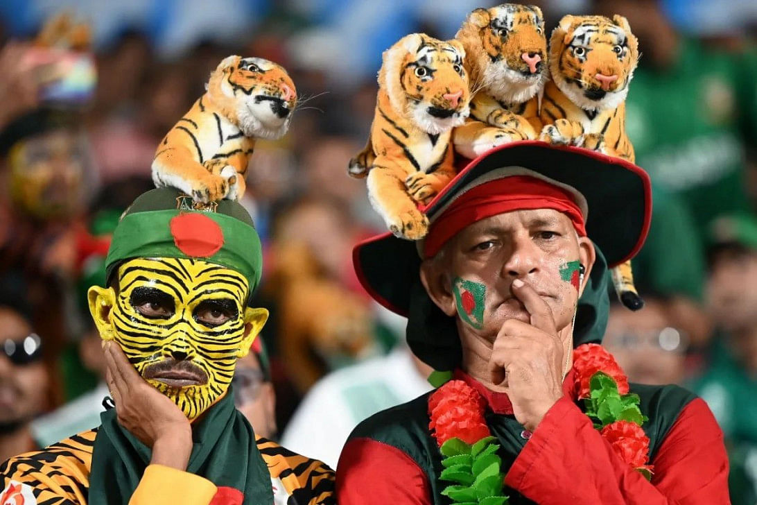 Can bcb's probe reach the root of rot? 0