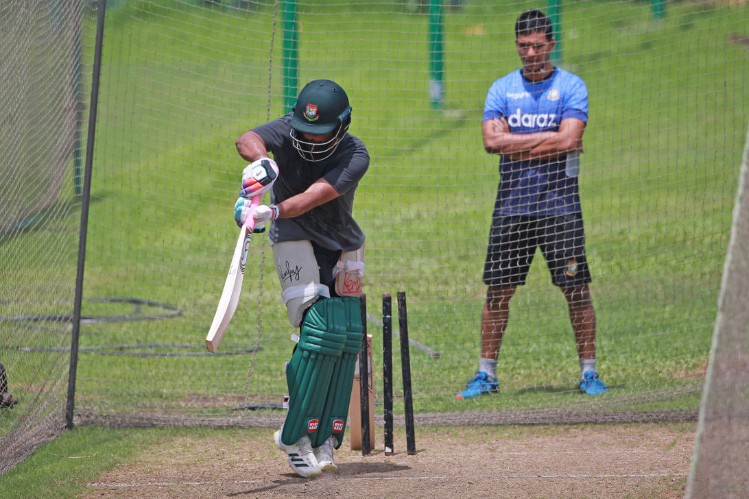 What are tigers' focus areas in nz series? 0